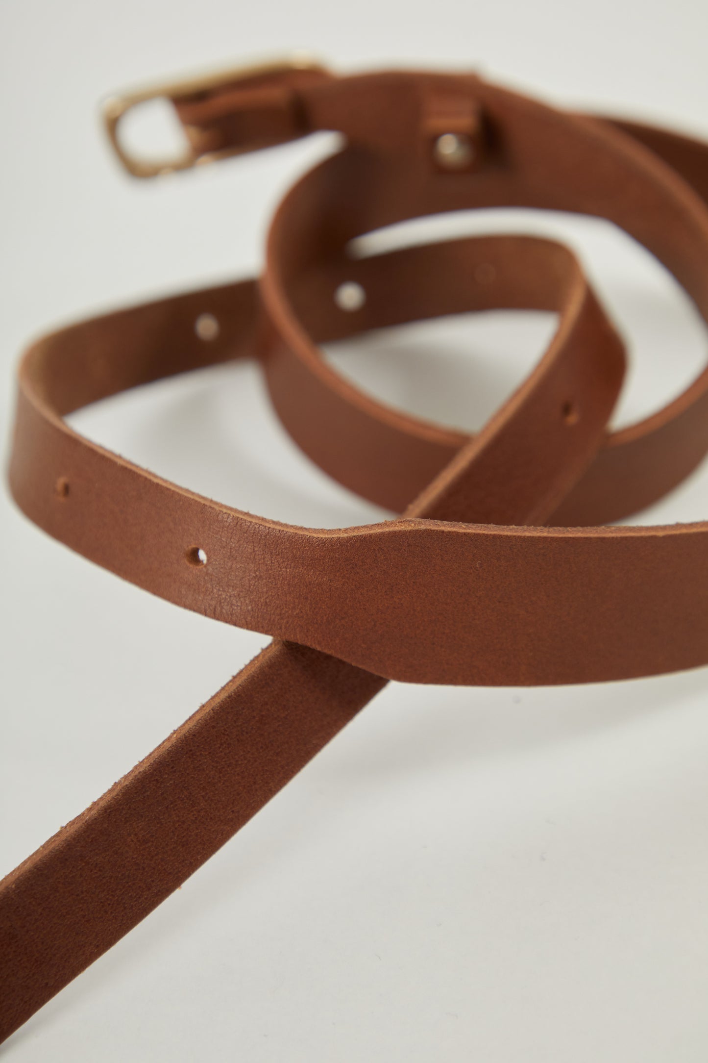 i'm here : PULL - TAB : BELT : 25FW