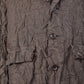 un form : JACKET