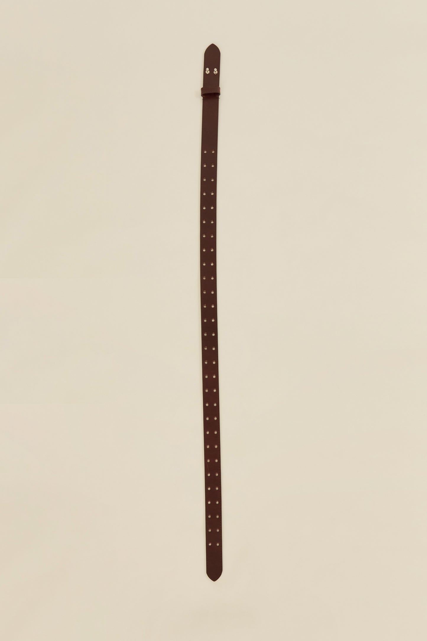 i'm here :  " 2 DOTS " BELT : / BROWN