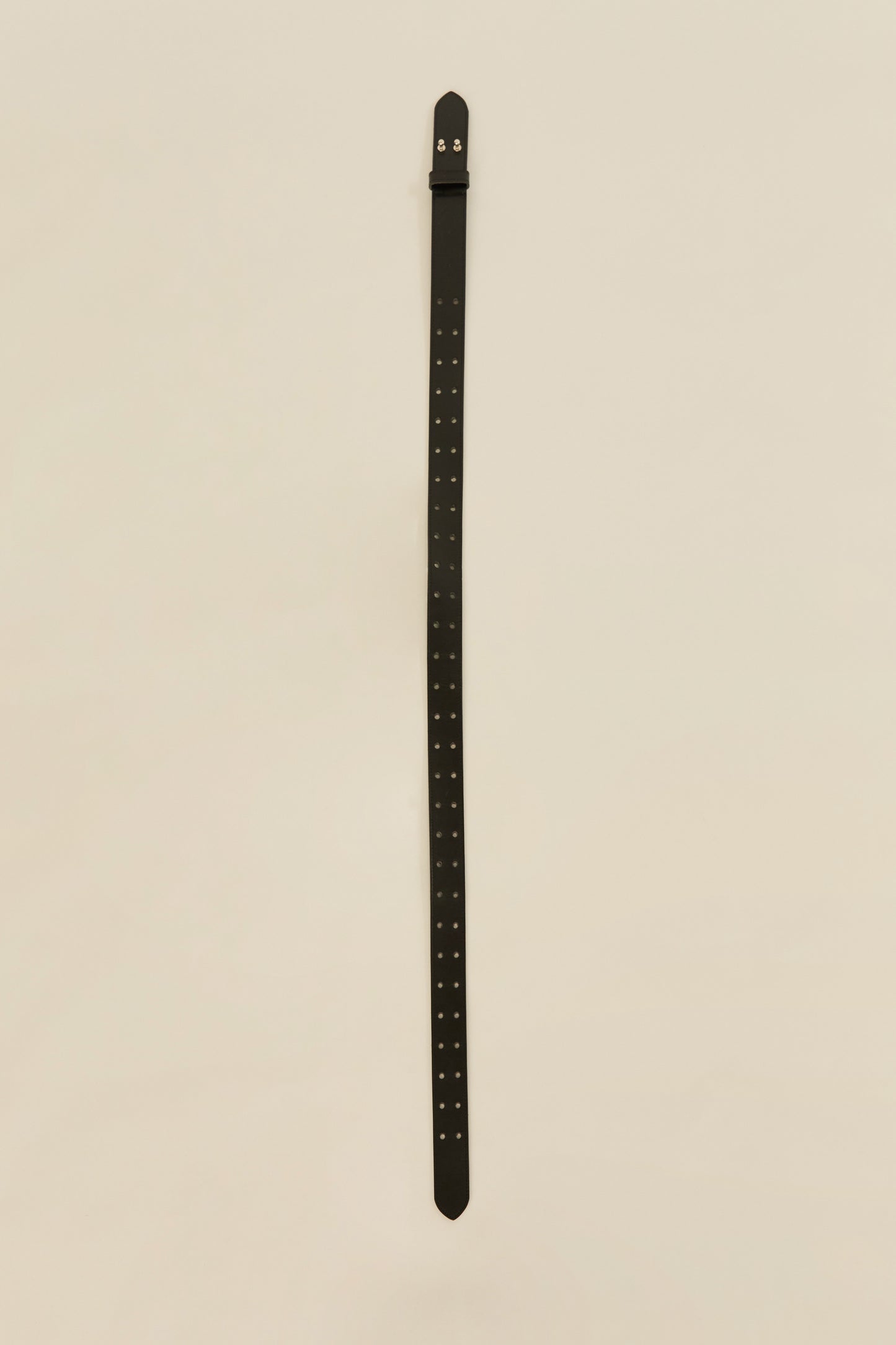 i'm here :  " 2 DOTS " BELT : / BLACK