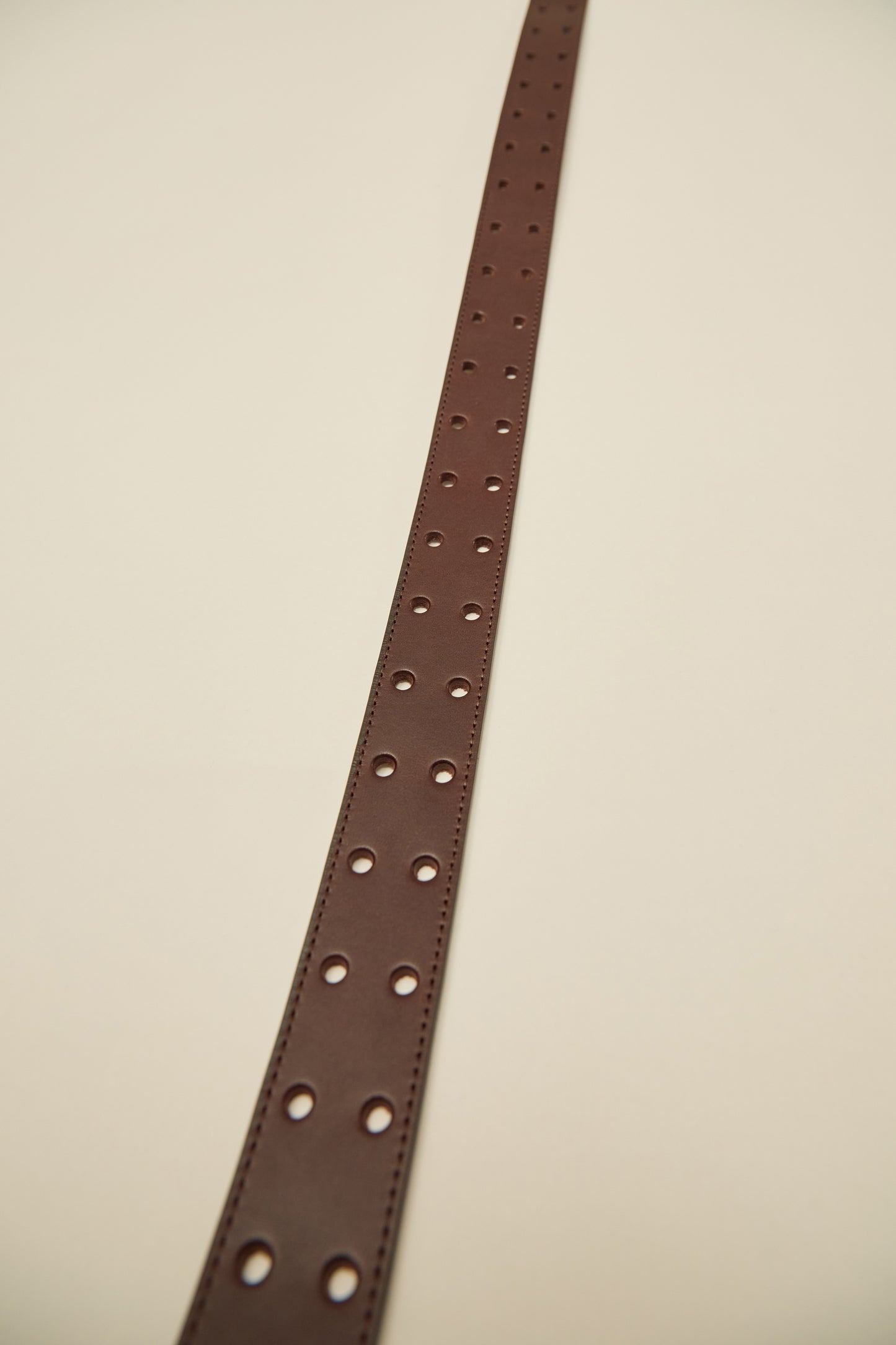 i'm here :  " 2 DOTS " BELT : / BROWN